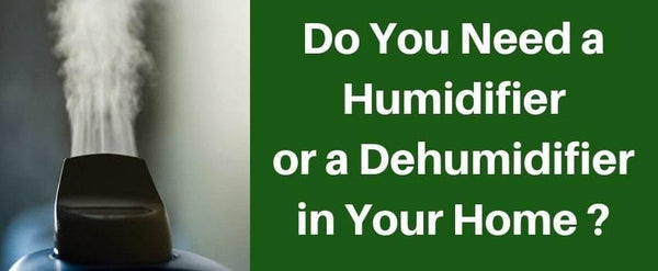 Humidifier VS Dehumidifer - Cozy Buy Online