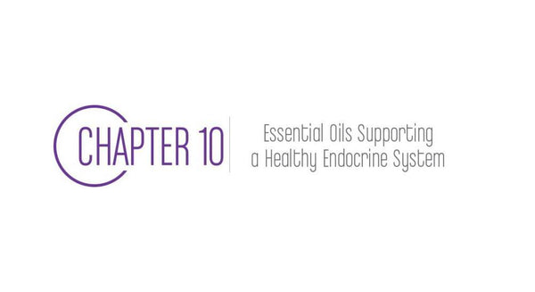 Chapter 10: Essential Oils Supporting a Healthy Endocrine System - Cozy Buy Online