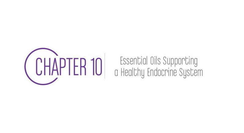 Chapter 10: Essential Oils Supporting a Healthy Endocrine System - Cozy Buy Online