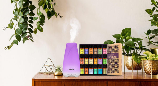 Wonderful effects of diffusers! - Cozy Buy Online